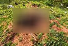 මිහිදන් කළ මෘතදේහයක හිස කොටස අතුරුදන්