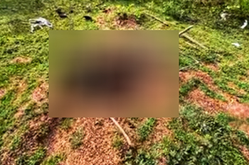 මිහිදන් කළ මෘතදේහයක හිස කොටස අතුරුදන්