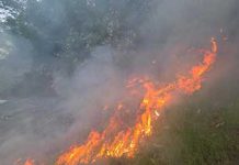 කාසල්රි ජලාශයේ ලොකුම දූපතේ ගින්නක්