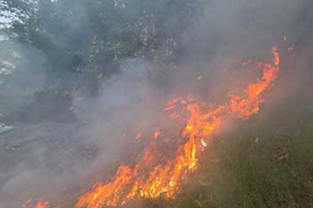 කාසල්රි ජලාශයේ ලොකුම දූපතේ ගින්නක්