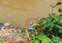 කෙසෙල්ගමු ඔයේ කාන්තා මළ සිරුරක්