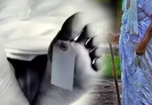 මුණුපුරාගේ පහරදීමකින් මිත්තණියට දිවි අහිමිවෙයි