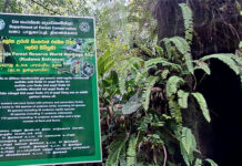 සිංහරාජයට පිවිසෙන කුඩව පිවිසුම හෙට සිට දින 6ක් වසා තැබේ