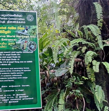 සිංහරාජයට පිවිසෙන කුඩව පිවිසුම හෙට සිට දින 6ක් වසා තැබේ