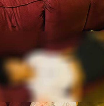 පෞද්ගලික විශ්වවිද්යාලයක සිසුන් දෙපිරිසක් හෝටලකදී ගුටිබැට හුවමාරුවක – සිසුවෙකු මරුට