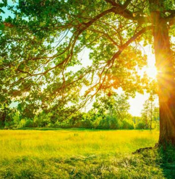 අද කාලගුණය – හිරු මුදුන්වන ප්රදේශ මෙන්න