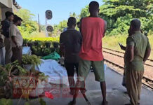 දුම්රියේ ගැටීමෙන් විදෙස් තරුණියක් ජීවිතක්ෂයට