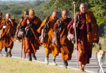 සාම පාගමනේ ගමන් මග