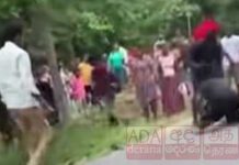 මවකට මහමඟදී අමානුෂිකව පහරදුන් සැකකරුවන් පිරිසක් අත්අඩංගුවට