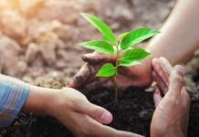 පැළ සිටුවීමේ නැකත උදාවෙයි