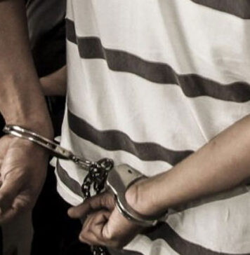 දෙහිවල ටූ ටෝන් අත්අඩංගුවට