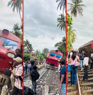 සාගරිකා වාද්දූවේදී පීලි පනී