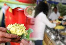 වෙසක් පොහොයට දන්සල් පවත්වන පාර්ශ්වයන්ට PHI වෙතින් දැනුම්දීමක්