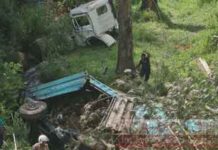 දර ප්රවාහනයකළ ලොරි රථයක් ප්රපාතයකට පෙරළී බිහිසුණු අනතුරක්