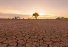 එල්නිනොත් තත්ත්වයක් ගැන ලෝක කාලගුණ සංවිධානයෙන් අනතුරු ඇඟවීමක්