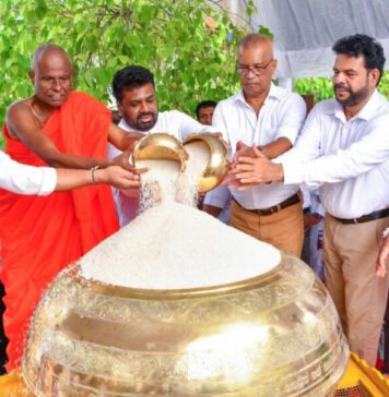 ජාතික අලුත් සහල් මංගල්යය ජනපති ප්රධානත්වයෙන් (ඡායා)