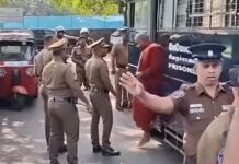 තාත්තාගේ ඔලුව පැලූ කසුන්, බලු අයිතිවාසිකම් අතට ගනී