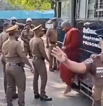 තාත්තාගේ ඔලුව පැලූ කසුන්, බලු අයිතිවාසිකම් අතට ගනී