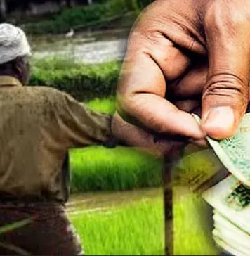 කඳුකරයේ ගොවීන් 241කට ගොවි විශ්රාම රක්ෂණ හිමිකම ලැබෙයි!