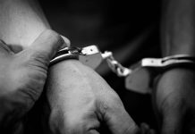 බඩ් වාහන 20ක් සමඟ තුනක් අල්ලයි