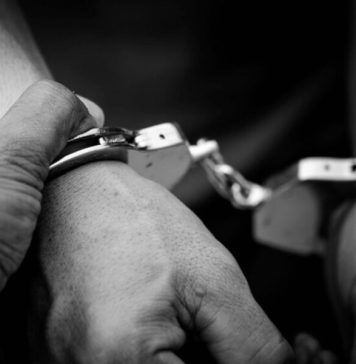 බඩ් වාහන 20ක් සමඟ තුනක් අල්ලයි