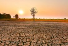 උණුසුම ගැන අනතුරු ඇඟවීම්