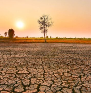 උණුසුම ගැන අනතුරු ඇඟවීම්