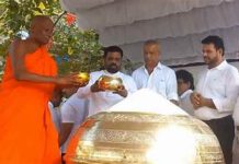 ජාතික සහල් මංගල්ය ජනපති ප්රධානත්වයෙන් ඇරඹේ!