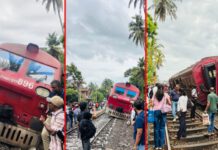 සාගරිකා පීලි පනී