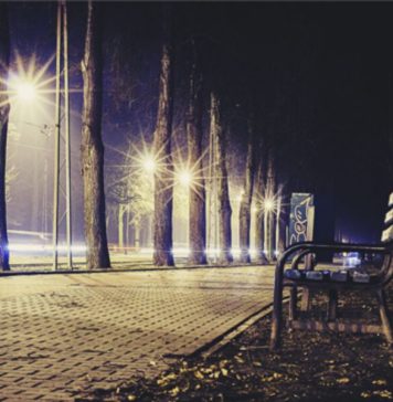 වීදි ලාම්පු ගණනය පොලිසියට භාර දෙයි