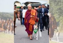 සාම පා ගමන වෙනුවෙන් ‘ආලෝකා’ ලංකාවට