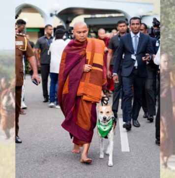 සාම පා ගමන වෙනුවෙන් ‘ආලෝකා’ ලංකාවට