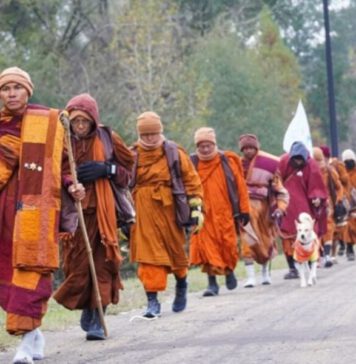 සාම පාගමනේ ගමන් මග