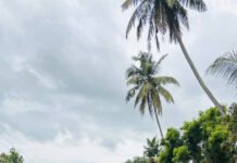 සාගරිකා වාද්දුවේදී පීලි පනී!