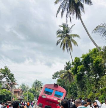 සාගරිකා වාද්දුවේදී පීලි පනී!