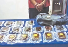 කෝටි 04ක හෑෂ් සමග දෙදෙනෙක් අත්අඩංගුවට – Saru News | සිංහල