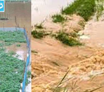 ආපදා තත්ත්වය හේතුවෙන් වගාවන්ට හානි වූ ගොවියන් 441කට වන්දි