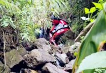 වටවලදී ත්රිරෝද රථයක් අඩි 50 ක ප්රපාතයකට පෙරළෙයි!