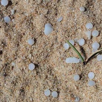 එල්සා 3 නෞකාවෙන් ඉවත ලද ප්ලාස්ටික් පෙති ඉවත් කිරීම ඇරඹේ!