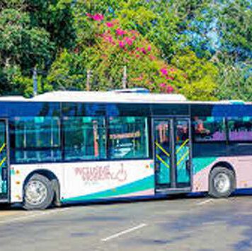 ආබාධ සහිත පුද්ගලයින් සඳහා ප්රමුඛතා බස් සේවාව හෙට (21) සිට…