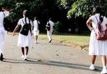 කළුතර ප්රදේශයේ පාසල් යන වයසේ දරුවන් 161 දෙනෙකු පාසල් නොයන බවට හෙළිදරව්වක්!