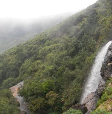 නකල්ස්වලින් ආරම්භවන ජල ධාරා 8ක් හා දිය ඇලි 10ක සීග්ර ජල පහළයාමක්