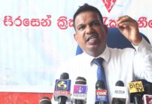 ක්රිකට් ආයතනයේ ඩොලර් මිලියන 70කට විදින වෑයමක් – සිරසෙන් ක්රිකට් රැකගැනීමේ සංසදය හෙළිකරයි