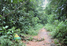 සිංහරාජයේ ප්රධාන පිවිසුමක් හෙට සිට දින 06ක් වැසේ