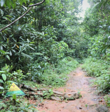 සිංහරාජයේ ප්රධාන පිවිසුමක් හෙට සිට දින 06ක් වැසේ